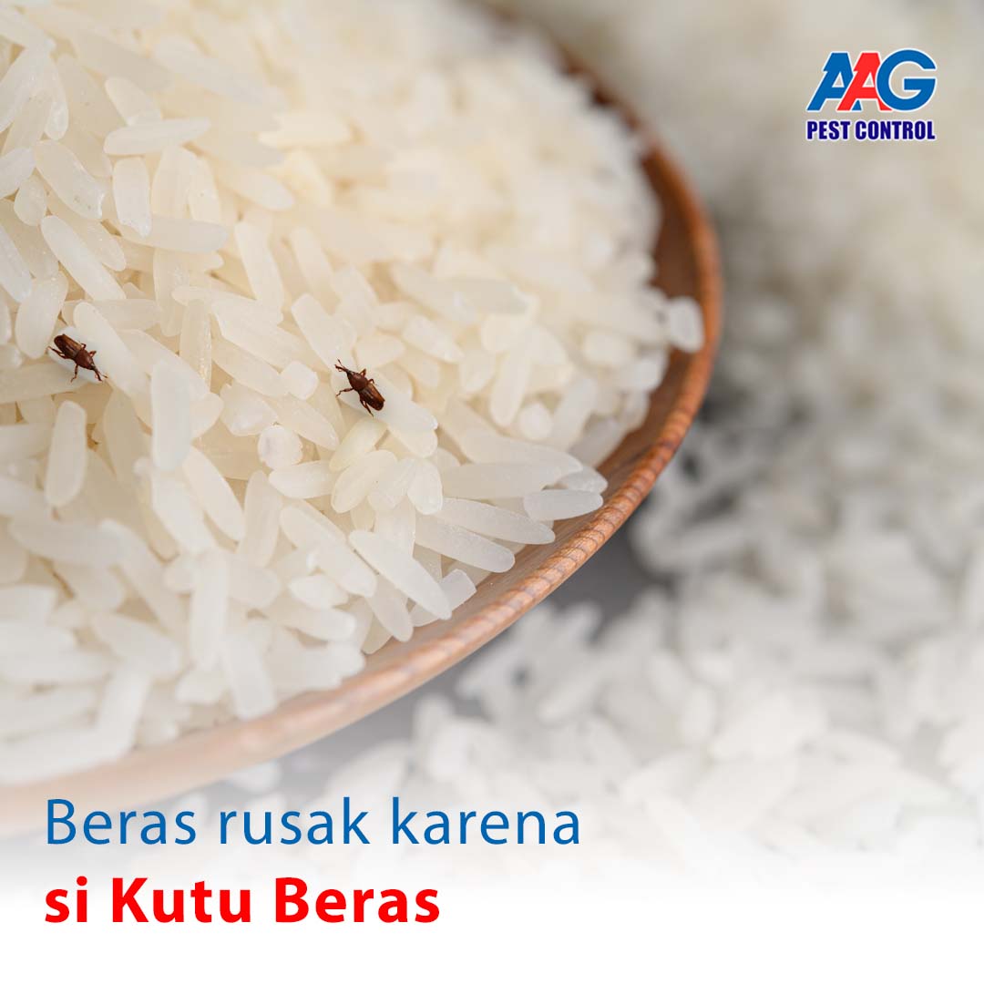 contoh post aag september 1.jpg