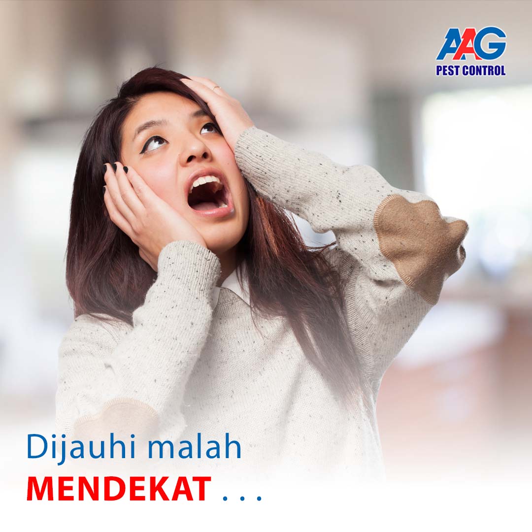 contoh post aag_agustus_1.jpg