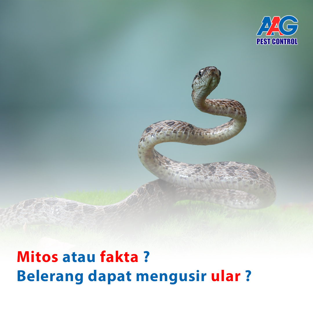 contoh post aag_Juli_1.jpg