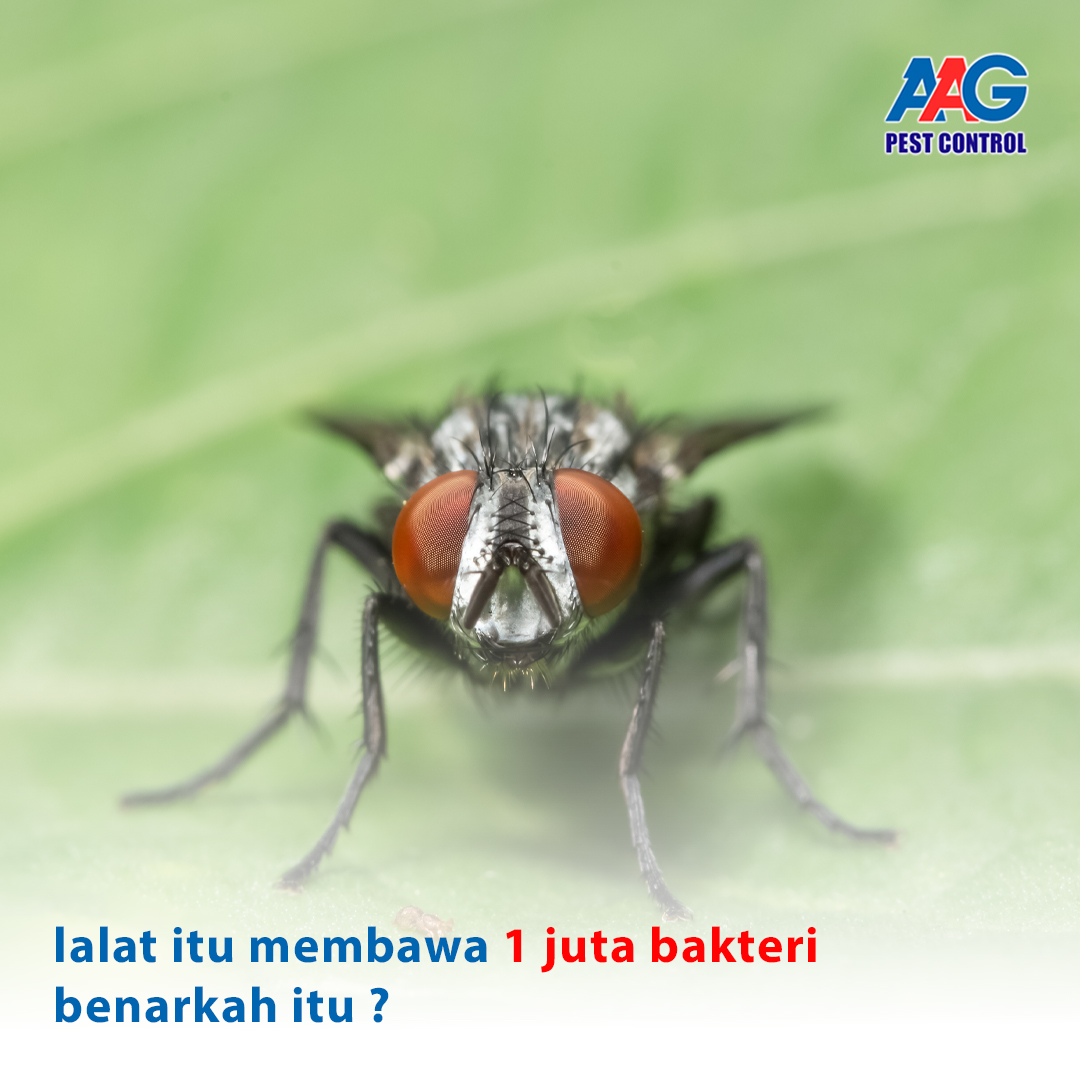 contoh post aag_juni 2 (1).jpg